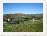 Replica Norse Buildings L'Anse aux Meadows * 2592 x 1944 * (1.96MB)